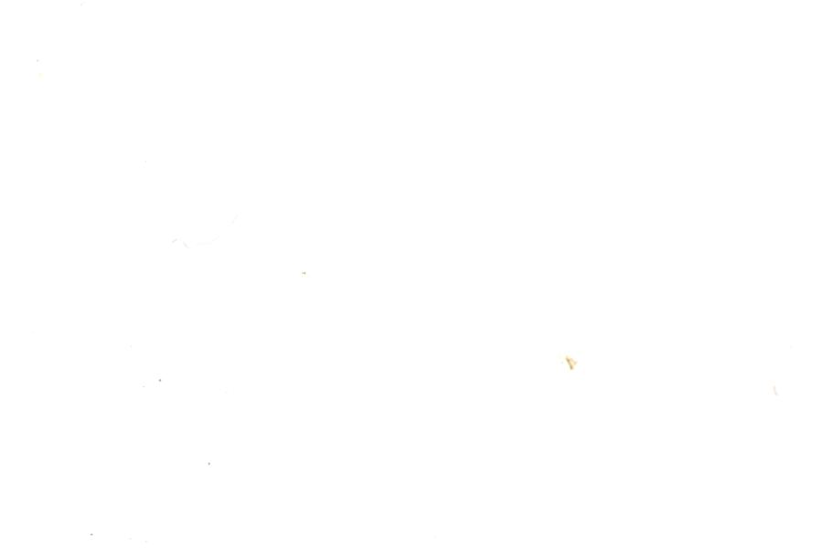 Image 61
